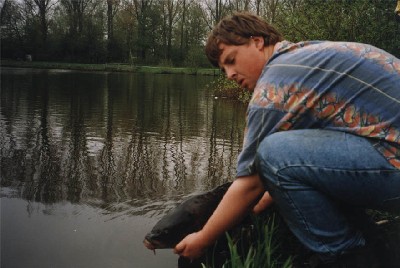 benny15