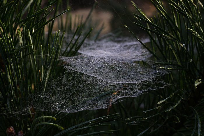 Ook naast het vissen kun je de leukste foto's maken.