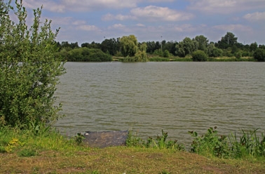 thecarpspecialist-karperhoeve-timmyslake-carp-karper-karpfen-1_378_248_s_c1.jpg
