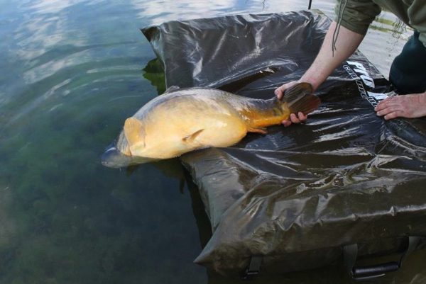 Villedon pro line mat