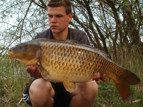 boul nick van bommel1
