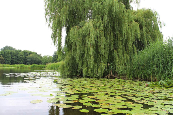 Patrick Groenewegen sfeer 3