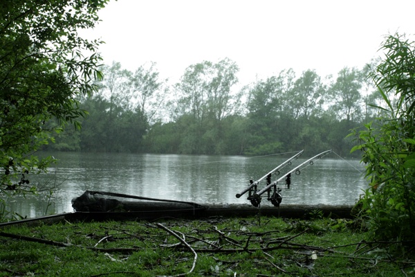 Mijn kant van de stek, en het Engelse weer dat uitblinkt in zijn typische miezerigheid.