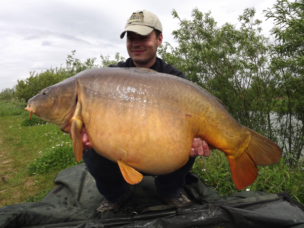 Guppy-Christiaan-van-de-Loosdrecht