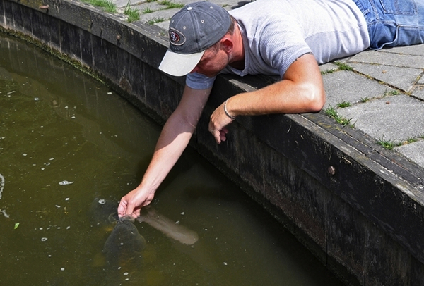 KM dressuur Frans Dupon