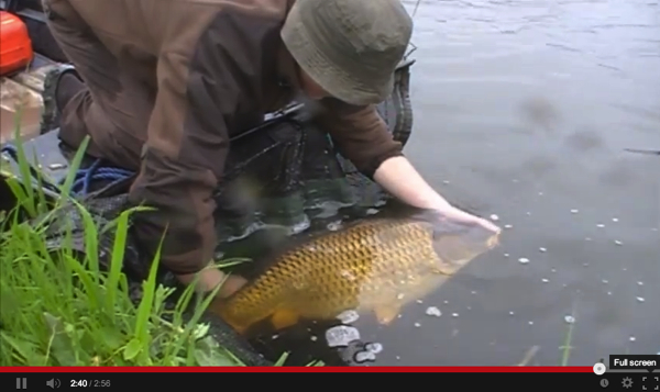 De Karperwereld bart jaap koorn