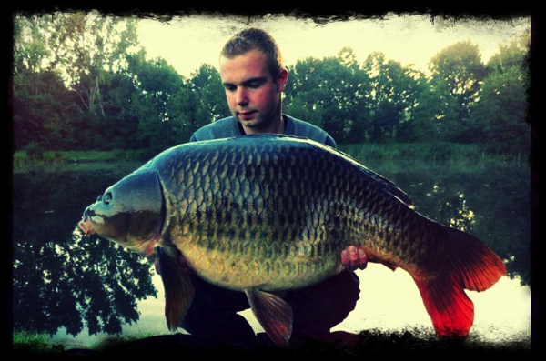 boul 38 Willem Kwinten