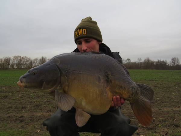 Boul-51-Glenn-willems