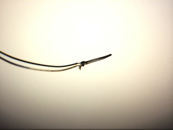 Biggen-Danny-Mastenbroek4