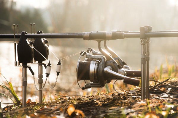 karperwereld-Tom-ter-Weele-9