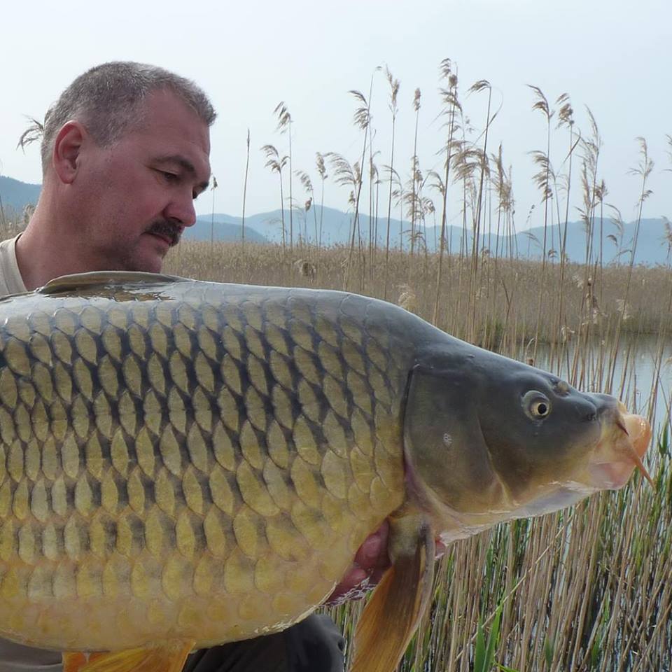 Door de jaren heen heeft Ivo tientallen veertigers gevangen met plastic haakaas.