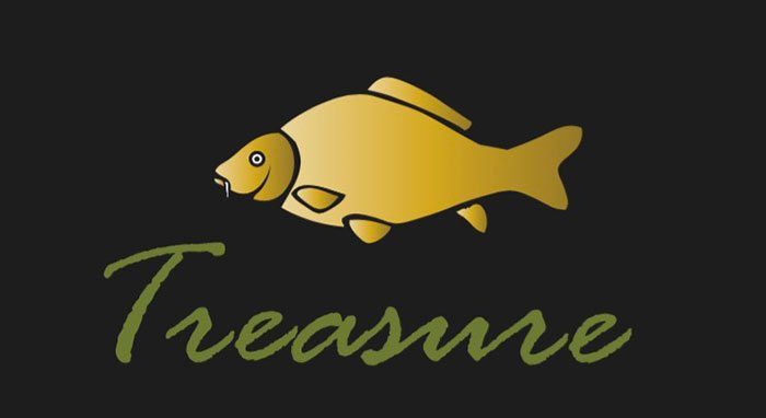 logo-treasure-carp-lion-sports