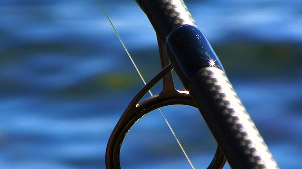 Fox-Hengels-startoog