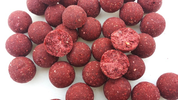 Rotterdam-visaas-garlic-rr-fish