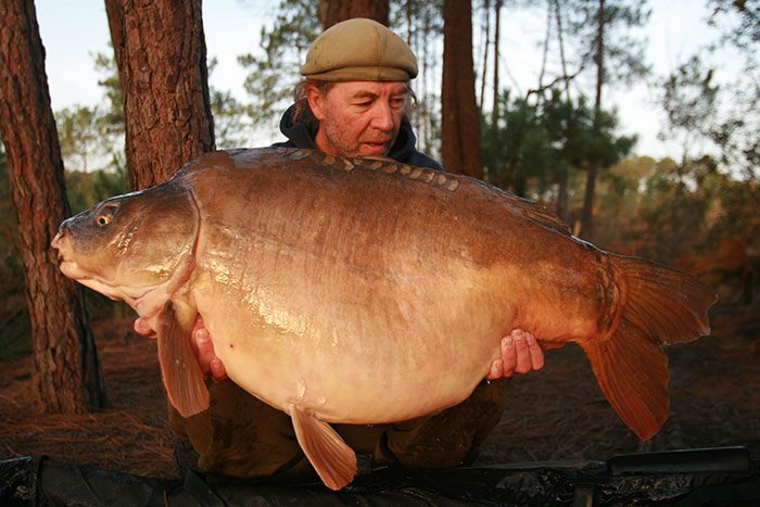 Solar-Alijn-Danau-spiegelkarper