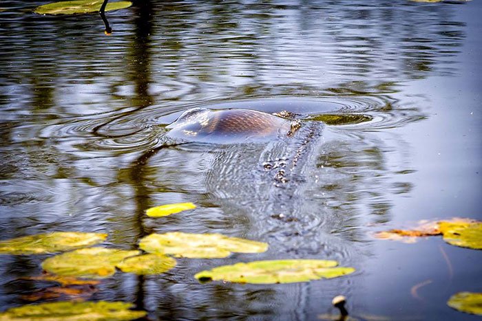 Sportvissen. De mooist denkbare hobby. Foto: Sander Boer