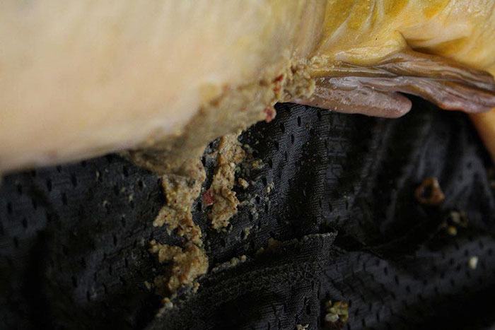 CGBaits-Ghorkha-ready-mades,-altijd-fijn-om-te-weten-dat-ze-erop-zaten