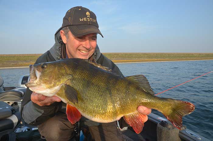 Luc gaat een nieuwe uitdaging aan.