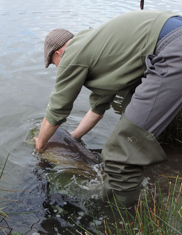 Ready to let go (again), Koen de Been.