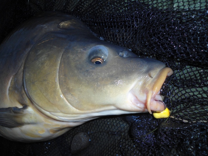 Sander Timmers deed wat hij zovaak doet: een bak vangen!