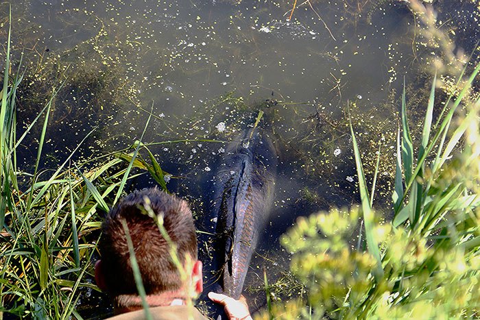 Geniet van het vissen, maar respecteer de regels