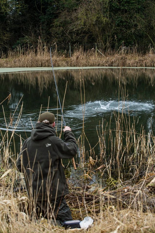 Alan Blair stalking2