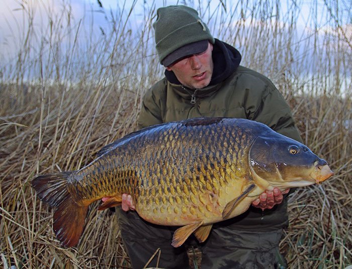 Meerdere Rigsolution consultants zullen in deze serie rig artikelen aan het woord komen.