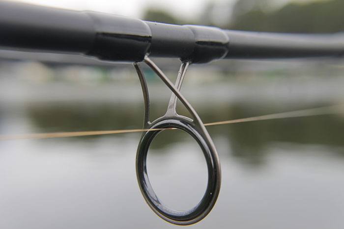 Fox-Warrior-hengel-1