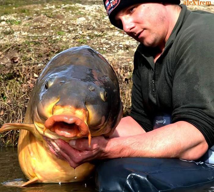 Wat een gruwelijke vis. Duidelijk een 'Fish of a Lifetime'.