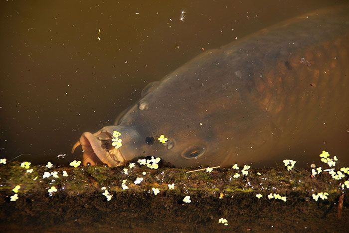 ... Om 14 uur kun je hem alles vragen over het 'stalken'.