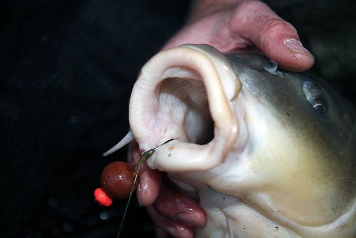 Peter-Vlasveld-blog-Foto-tips