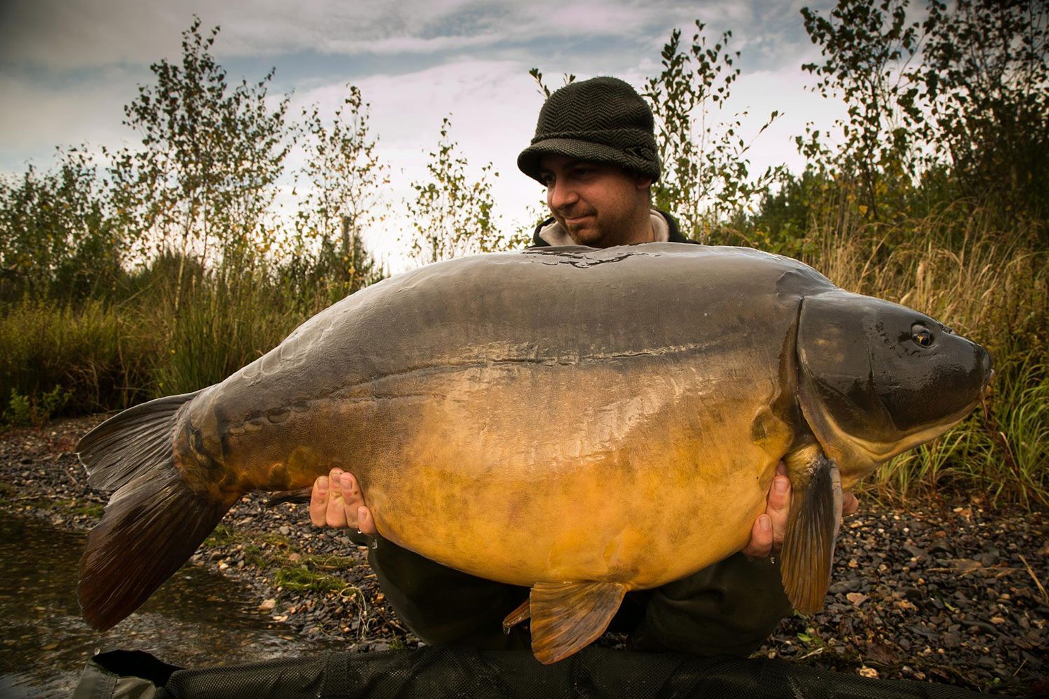 _Poelmans-karper-vissen-belgie-header