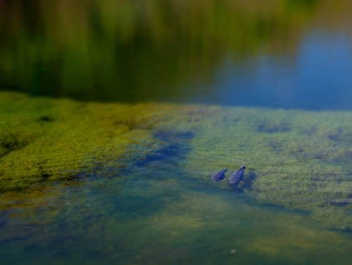 3-Matthew-Beddows-The-Edge-of-Places-Echoes-from-a-Disused-Quarry-