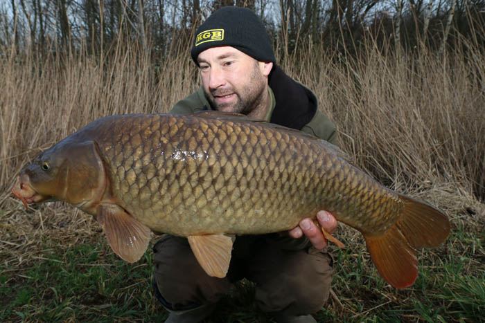 Hans-van-der-Brink-fox-1