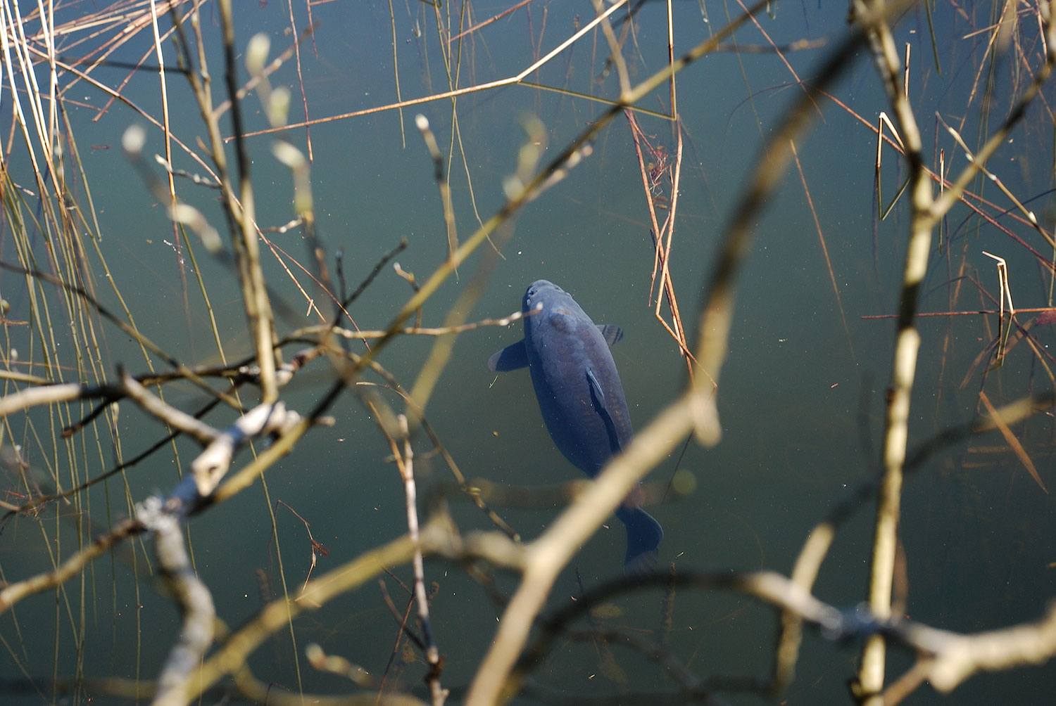 Locatie, daar draait het om in het voorjaar! Foto: SubSurface.