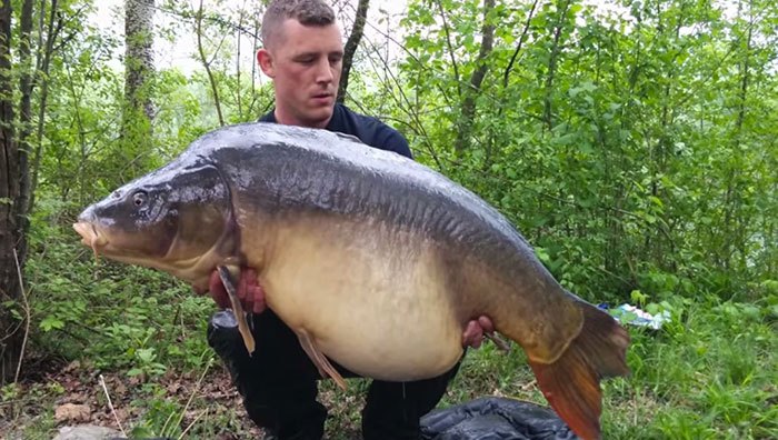 Check deze bizarre zestiger! Klik op de afbeelding om de video te bekijken.