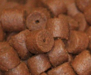 Red Halibut Pre Drilled 8mm