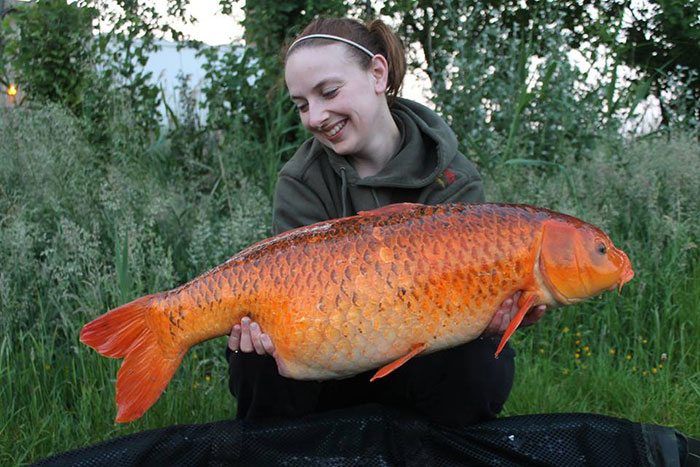 Dream-Baits-girl-power-1