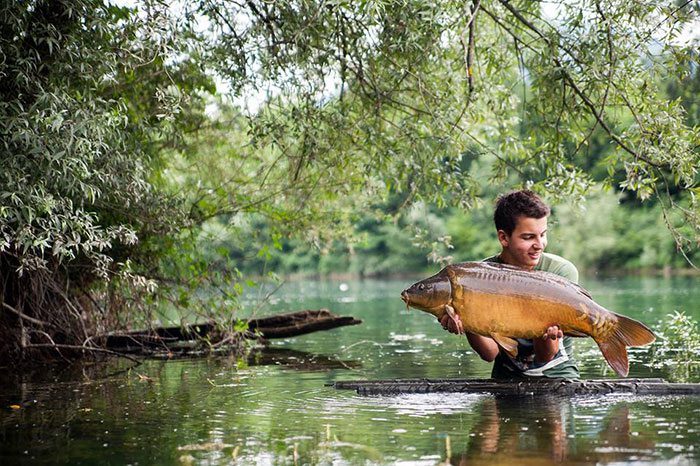 Tom-ter-Weele-foto-natuur-karper