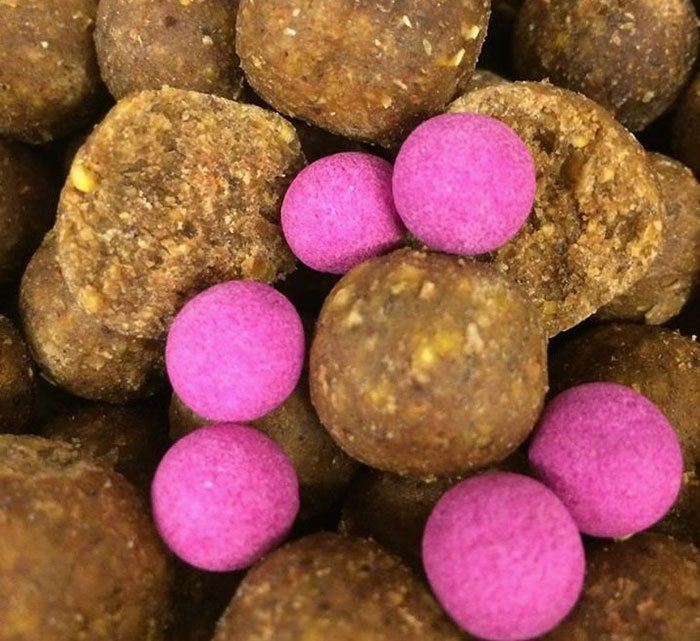 Verse-bollen-graskarper