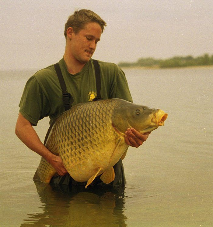 Een Franse karper van een groot reservoir uit het verleden.
