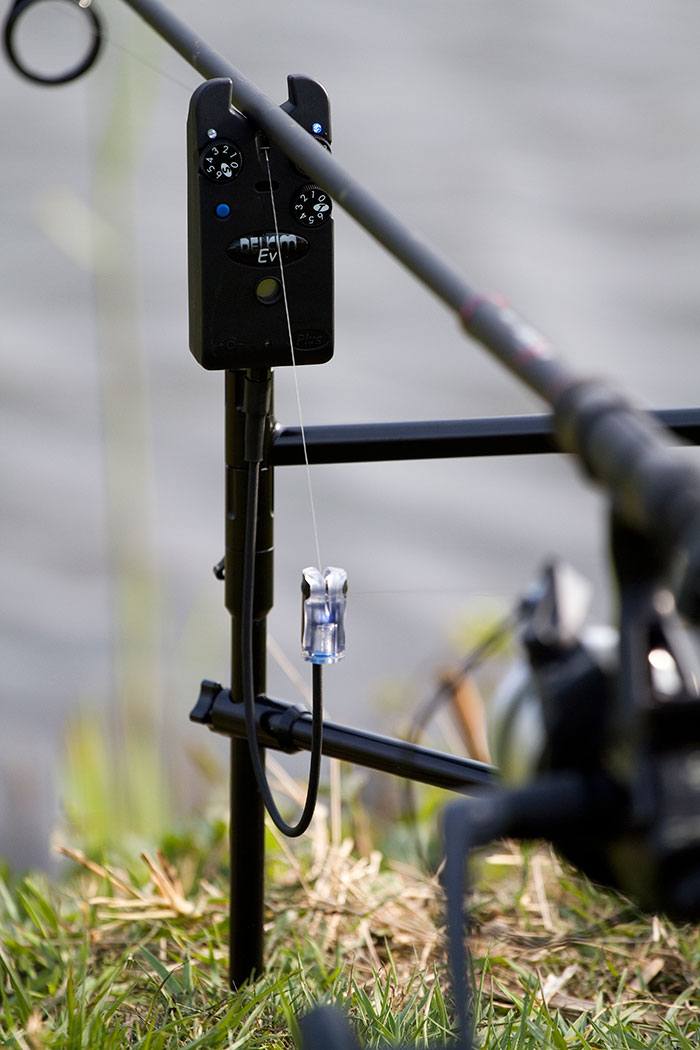 Delkim-karper-vissen-Korda