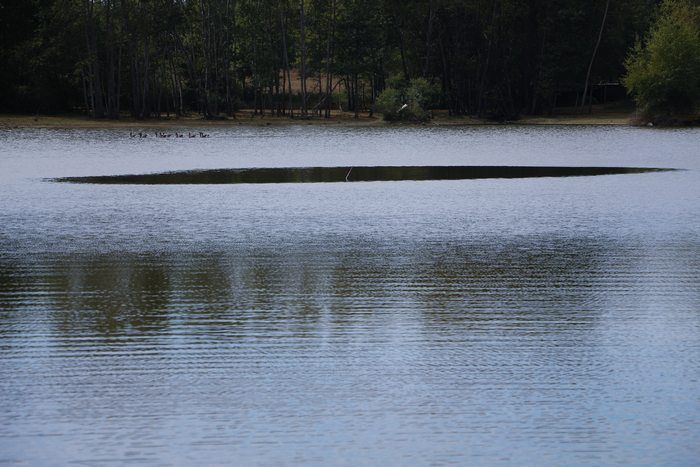 olievlek-tallis-des-landes-kwo8