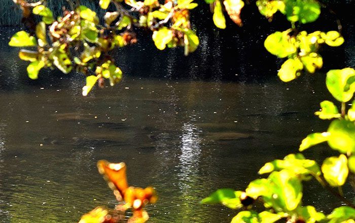 De maand mei is in aantocht! Zorg dat je er van gaat genieten!