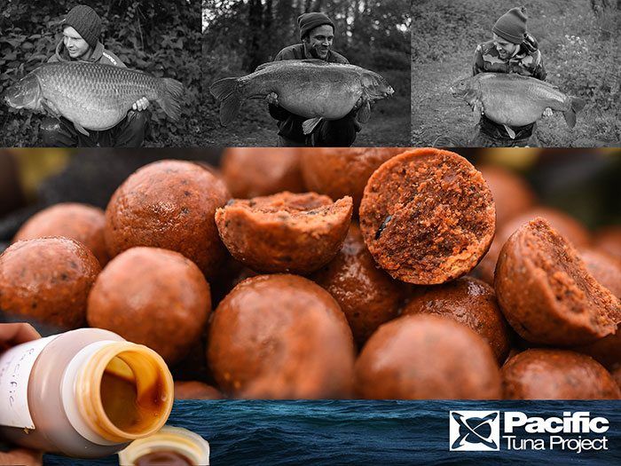 Coming soon! Nog twee weken!