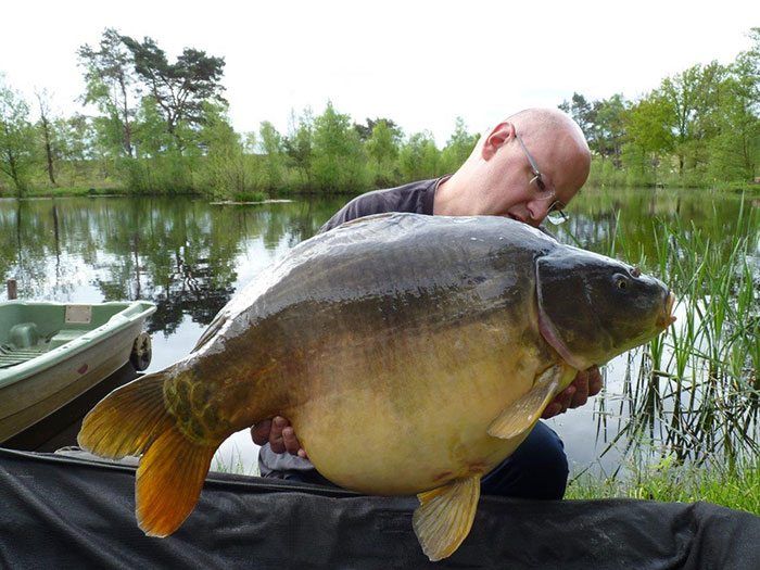 Ron van Houtum heeft zijn favoriet gevonden: de Synapse Carp.