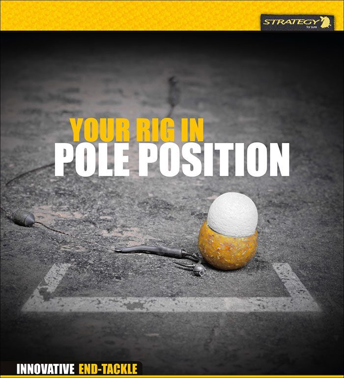 Strategy-carp-zwolle-rig-pole-position