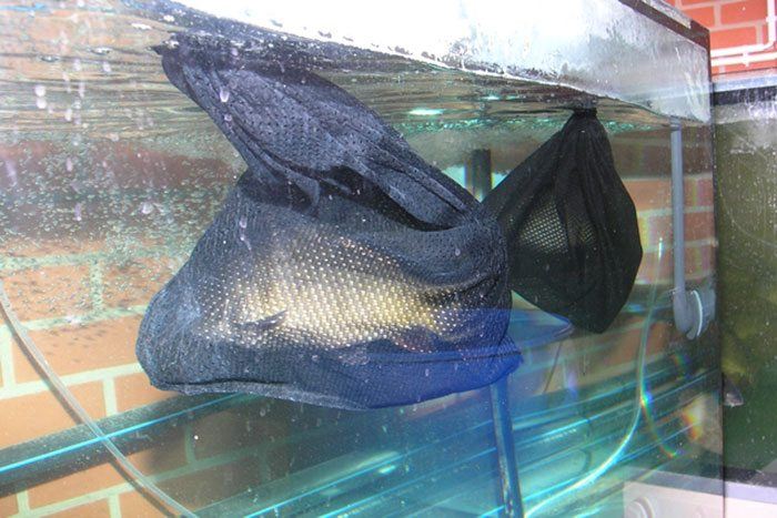 Alleen in een gecontroleerde omgeving ben je in staat om harde conclusies te trekken. Foto: Jan Hallermann.