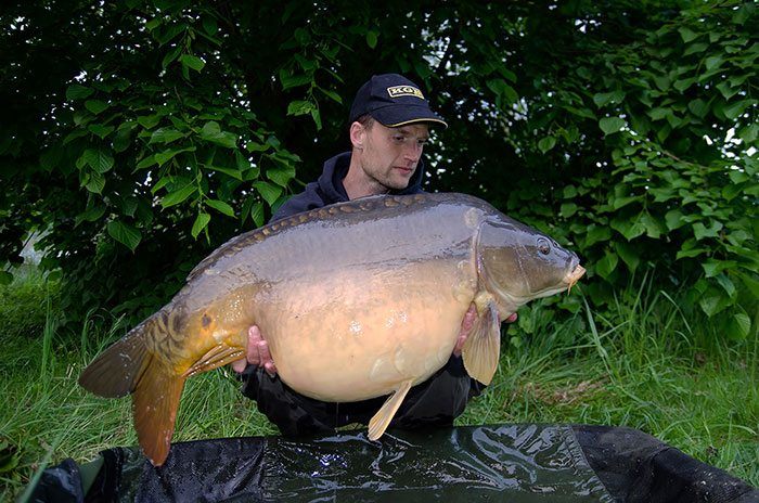 Een scherpe achtergrond toont vaak drukker.