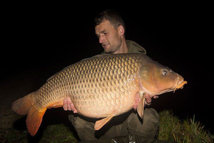 Met een zwarte achtergrond springt het onderwerp er juist uit.